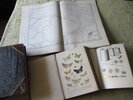 Veth / Cornelissen / Hasselt / Snelleman.: Midden - Sumatra. Reizen en Onder zoekingen der Sumatra-Expeditie, uitgerust door het aardrijkskundig Genootschap, 1877-1879, beschreven door de Leden der Expeditie, onder Toezicht van Prof. P.J.Veth. – Bild 3