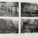 Krämer, Augustin.: Palau, 3. Teilband. (enthält:  Abteilung V. – Stoffliches und Abteilung VI – Geistige Kultur). - Bild 2