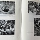 Sousa, Luis Augusto de.: Sobre a Mulher Lunda-Quioca (Angola). - Bild 2